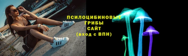 спайс Алзамай
