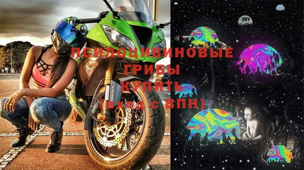 спайс Алзамай