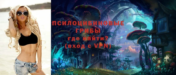 винт Алексин