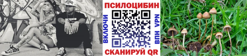 Псилоцибиновые грибы GOLDEN TEACHER  Ачинск 